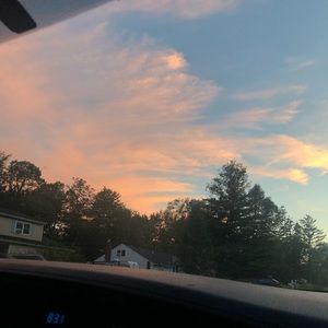 Meet your Posher, Tess